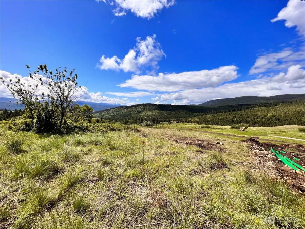 27 Moonlight Drive Curlew, WA 99118