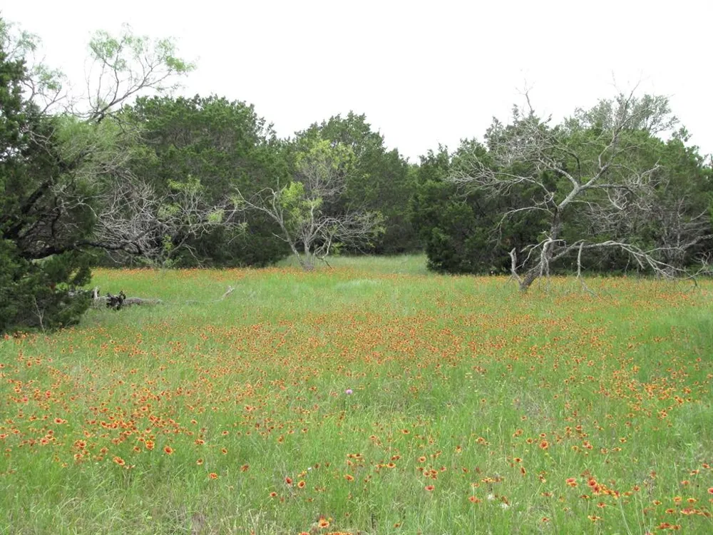 PR 42107 Evant, TX 76525