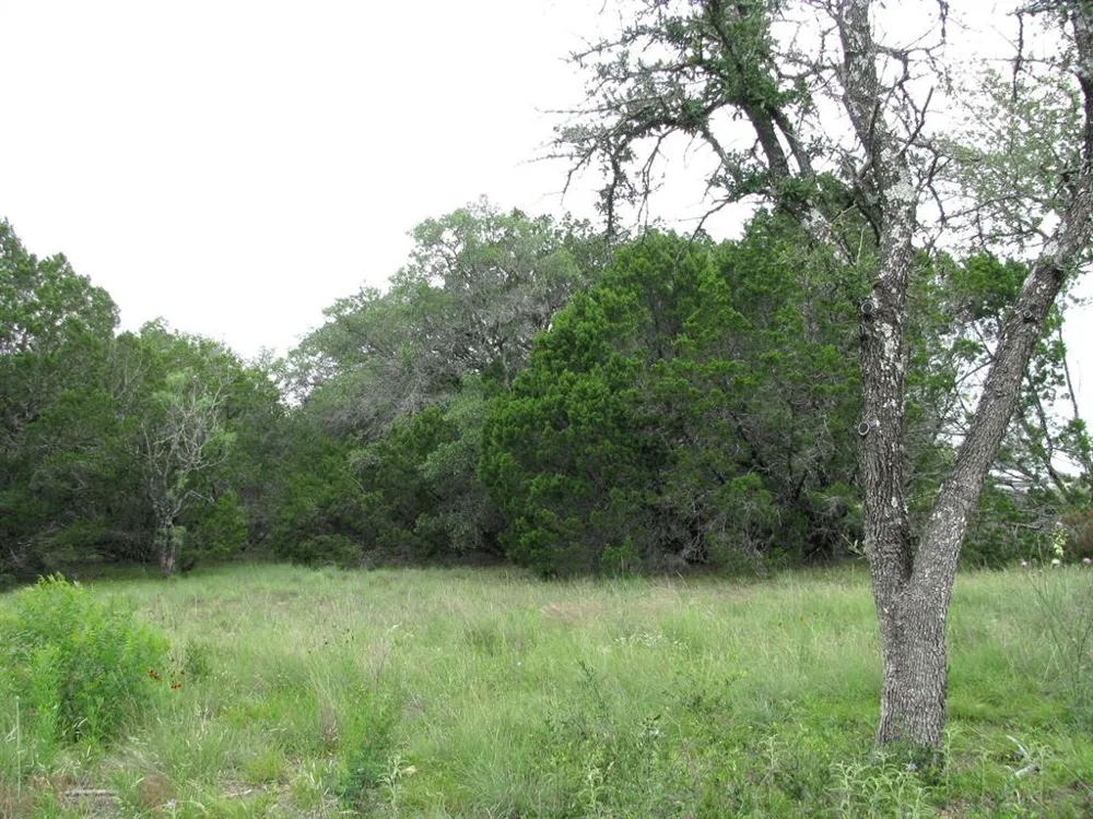 PR 42107 Evant, TX 76525