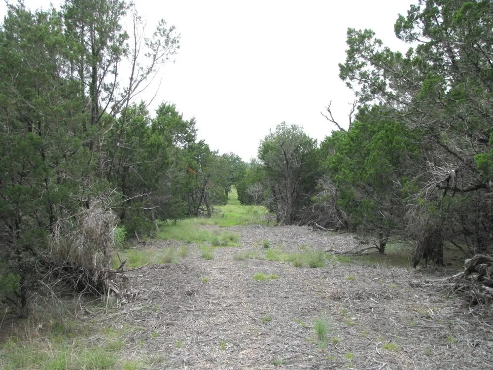 PR 42107 Evant, TX 76525