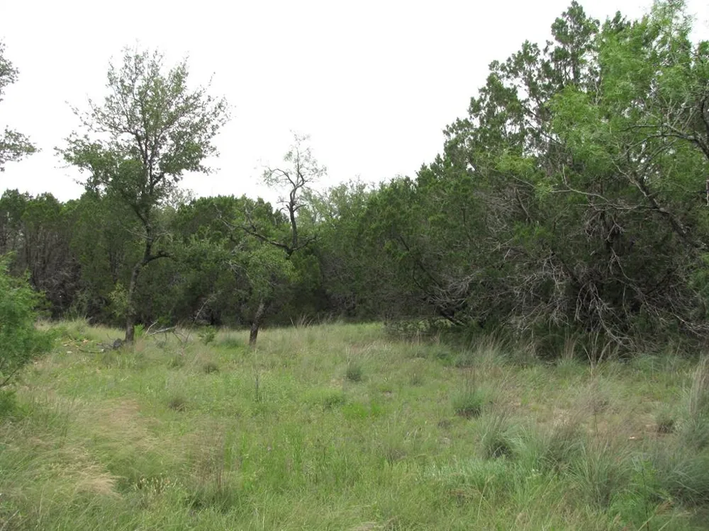PR 42107 Evant, TX 76525