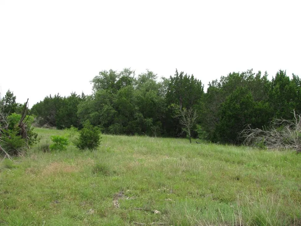 PR 42107 Evant, TX 76525