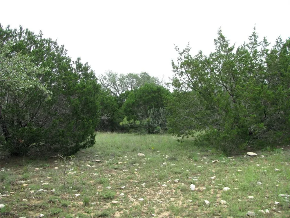 PR 42107 Evant, TX 76525
