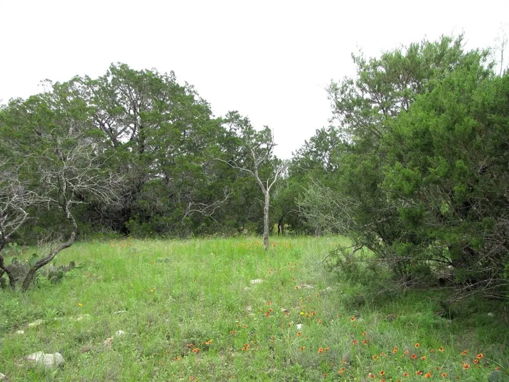 PR 42107 Evant, TX 76525