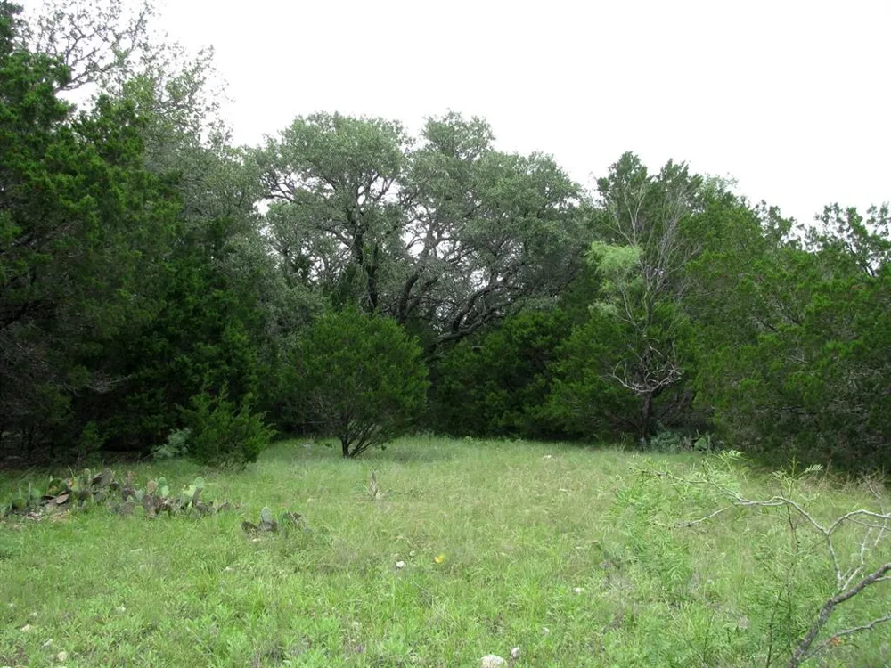 PR 42107 Evant, TX 76525