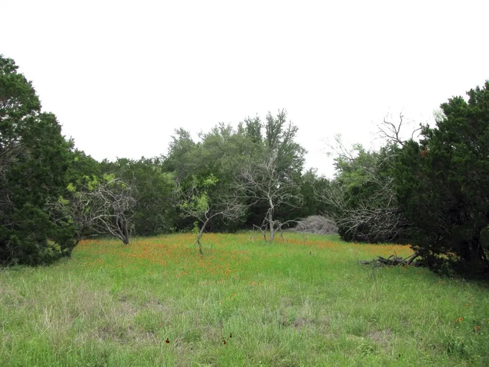 PR 42107 Evant, TX 76525