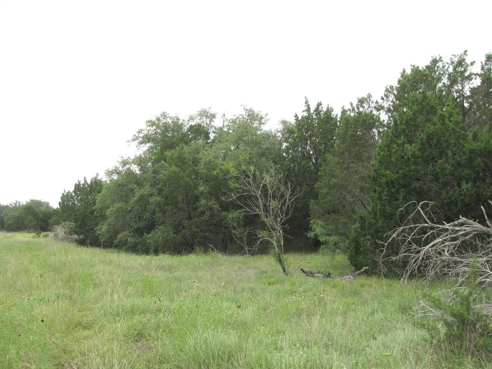 PR 42107 Evant, TX 76525
