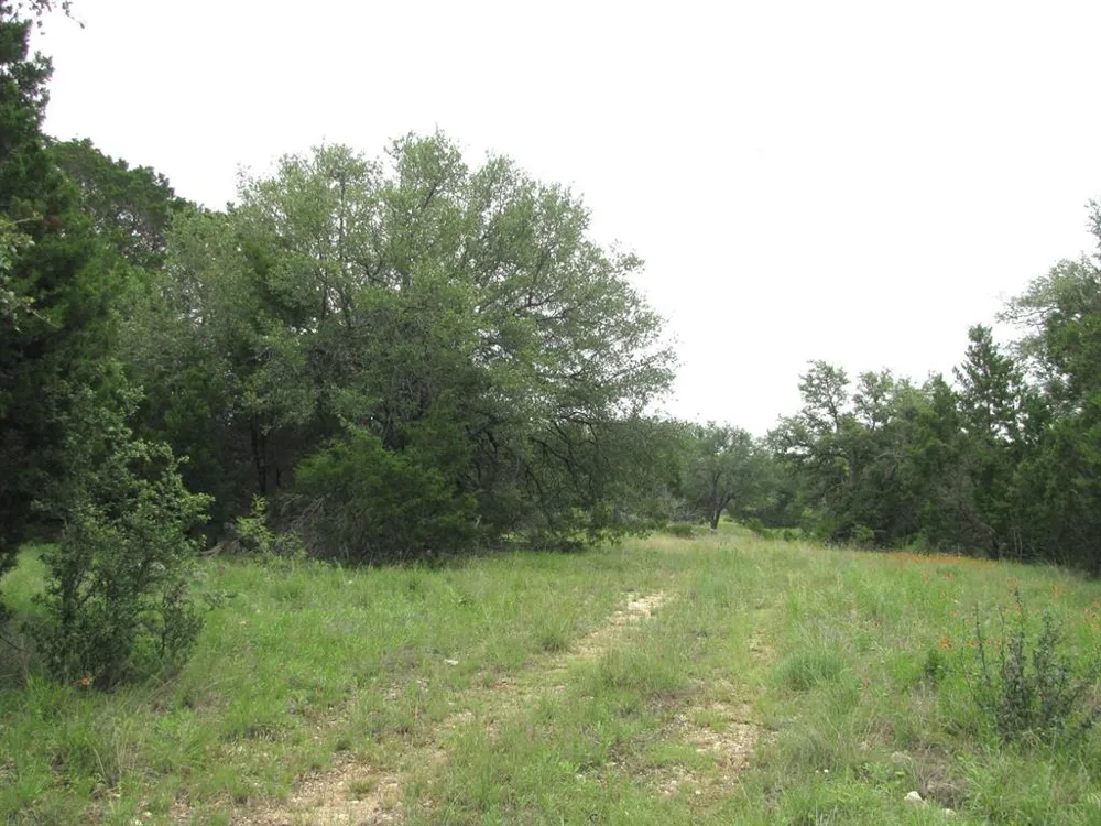 PR 42107 Evant, TX 76525
