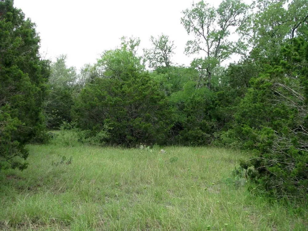 PR 42107 Evant, TX 76525