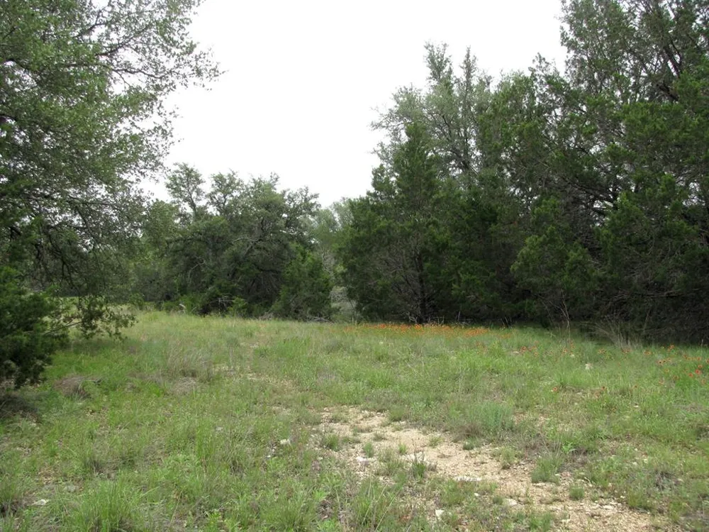 PR 42107 Evant, TX 76525