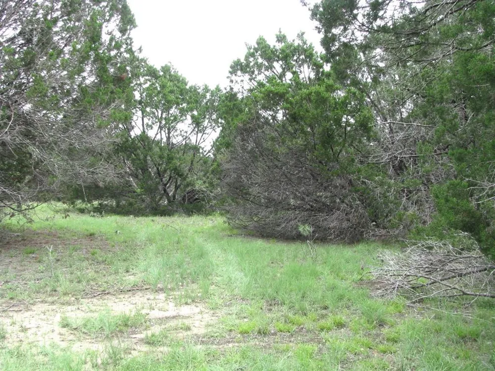 PR 42107 Evant, TX 76525