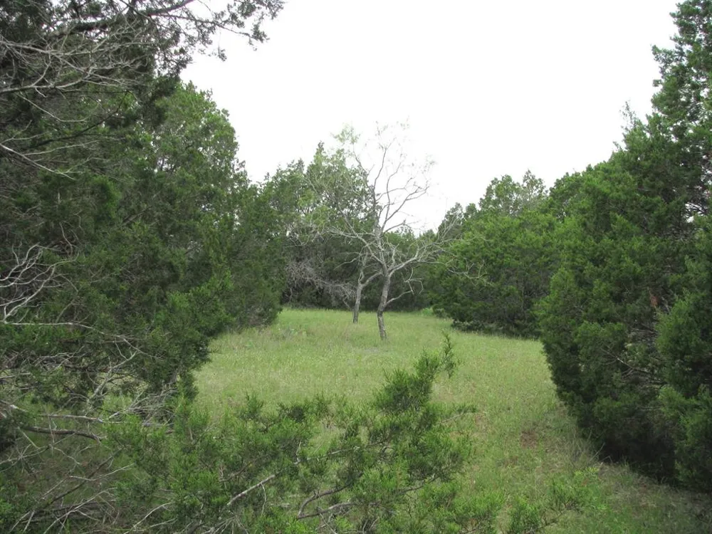 PR 42107 Evant, TX 76525