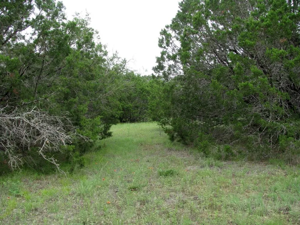 PR 42107 Evant, TX 76525