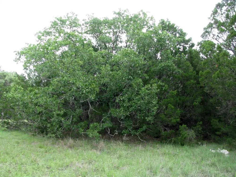 PR 42107 Evant, TX 76525