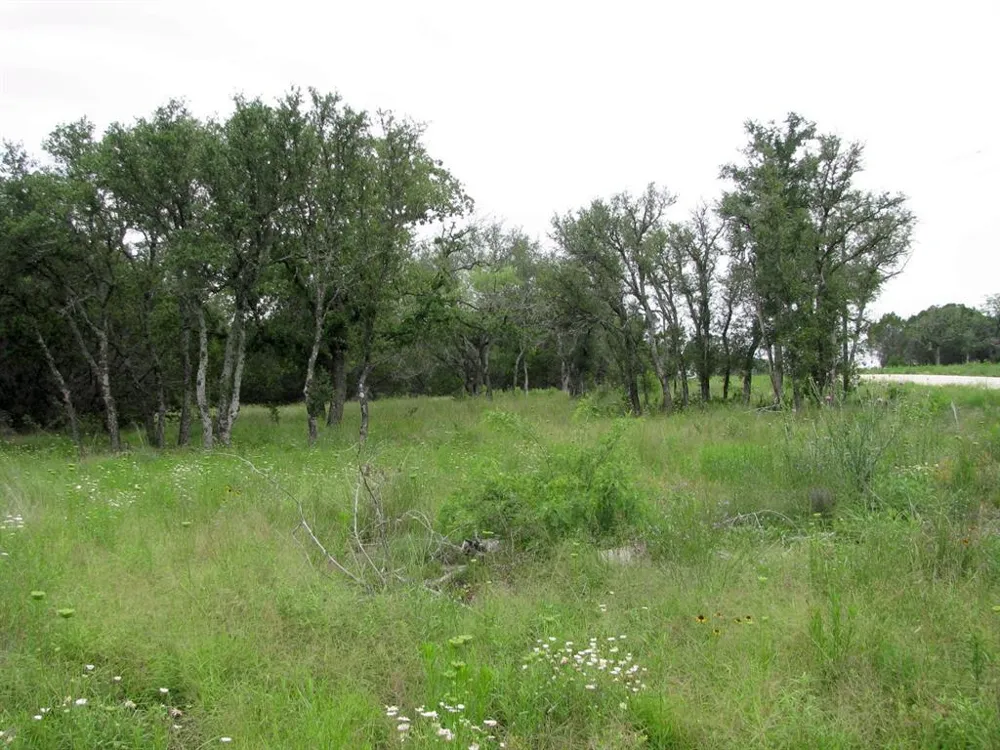 PR 42107 Evant, TX 76525