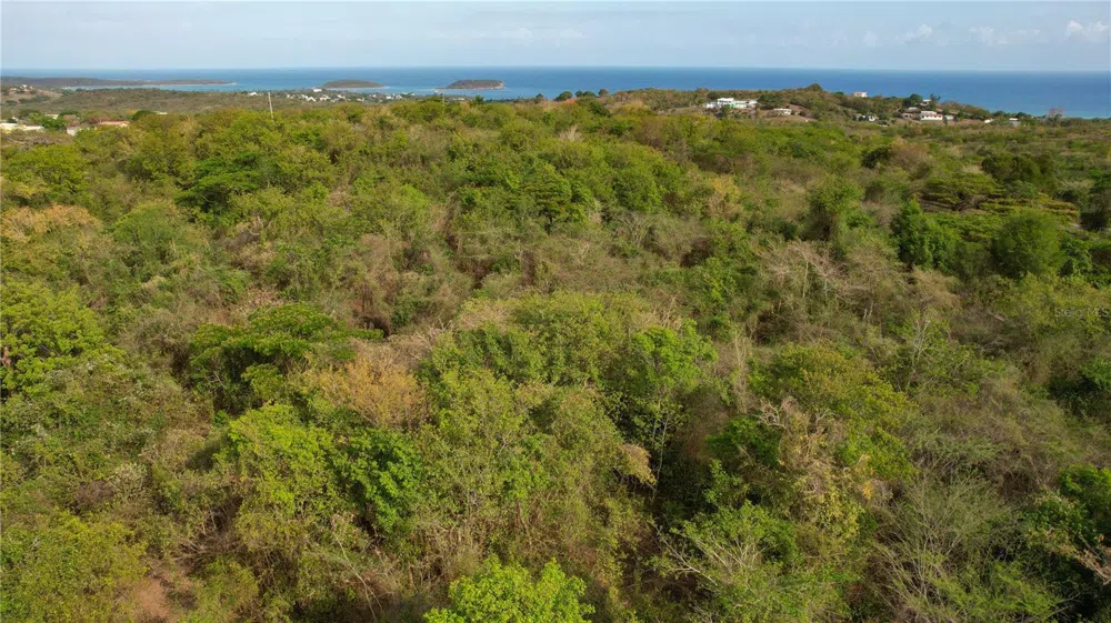 1918 BO. PILON Vieques, PR 00765