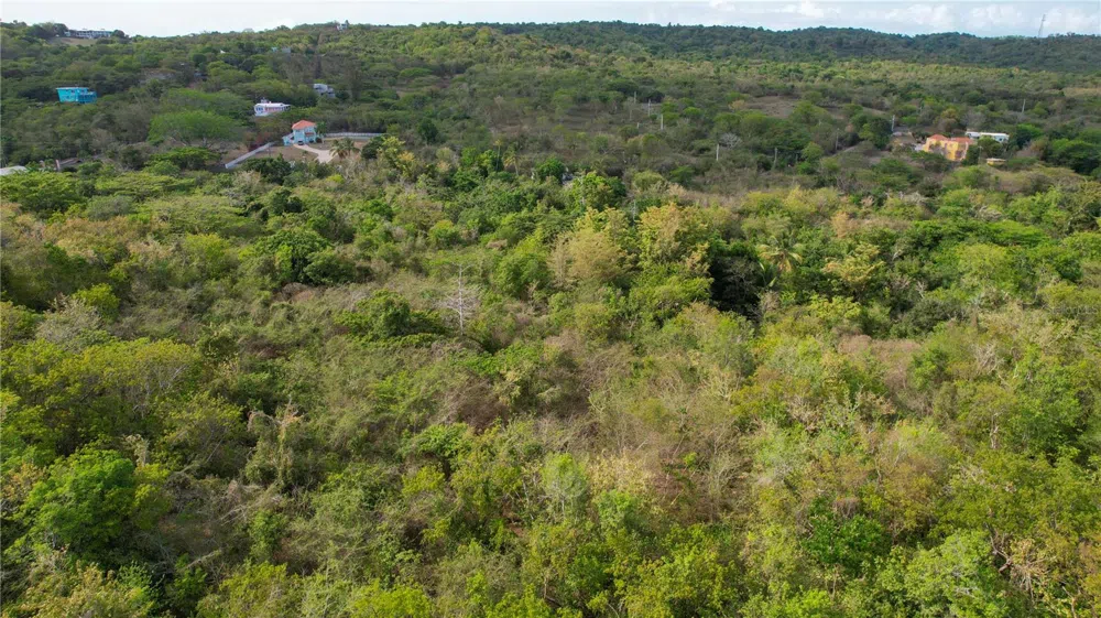 3055 BO. PILON Vieques, PR 00765