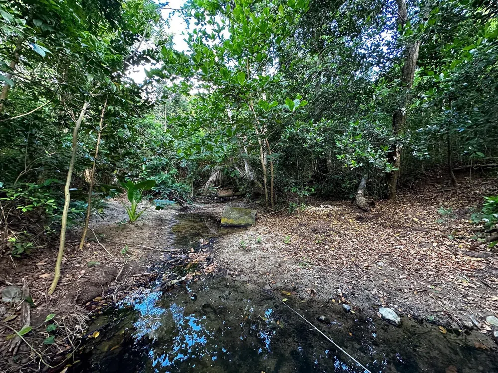 3055 BO. PILON Vieques, PR 00765