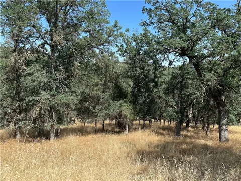 18051 Vista Point Court