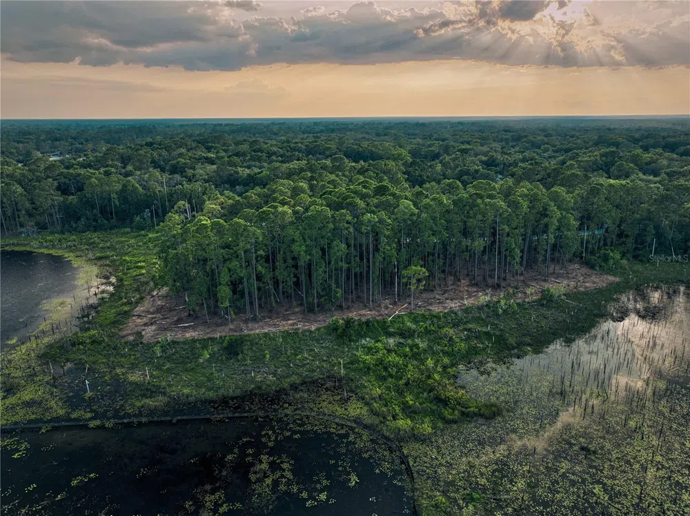 116 E GREENTREE LANE Lake Mary, FL 32746