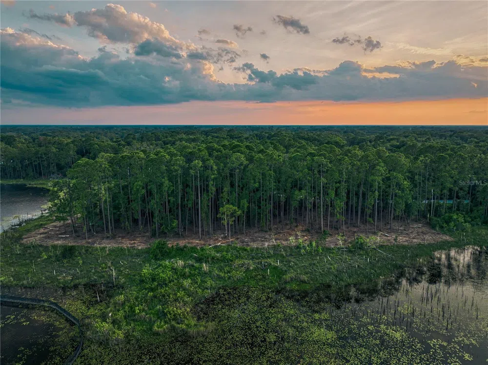 116 E GREENTREE LANE Lake Mary, FL 32746