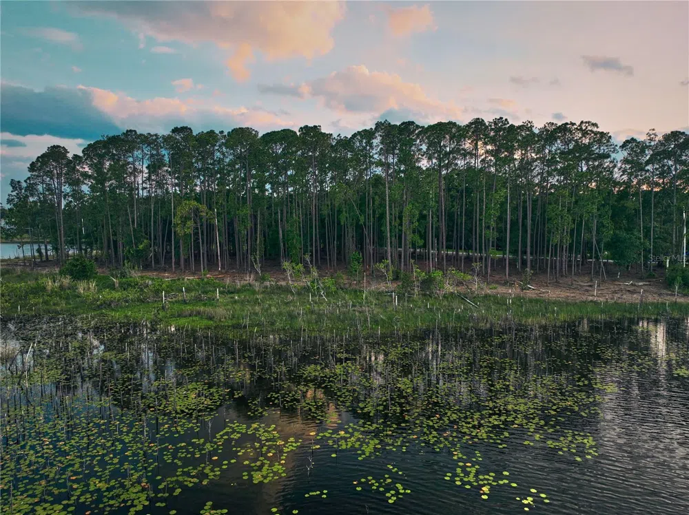 116 E GREENTREE LANE Lake Mary, FL 32746