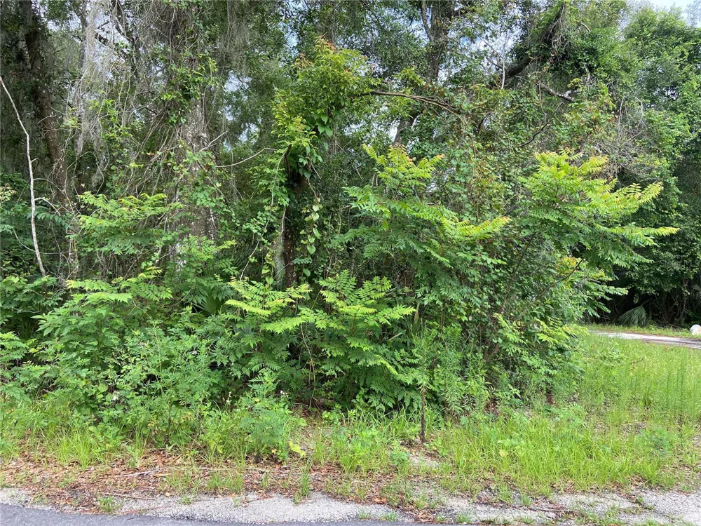 WILSON AVENUE Deland, FL 32720