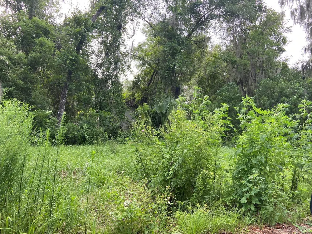 WILSON AVENUE Deland, FL 32720