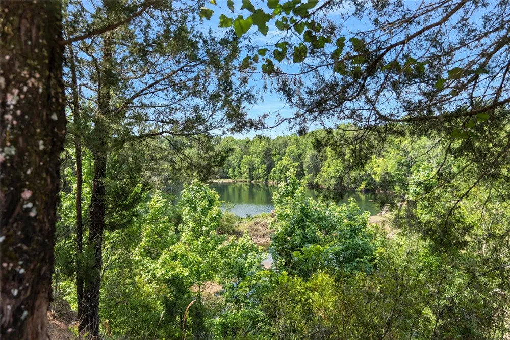 9986 E NEW HOPE COURT Floral City, FL 34436