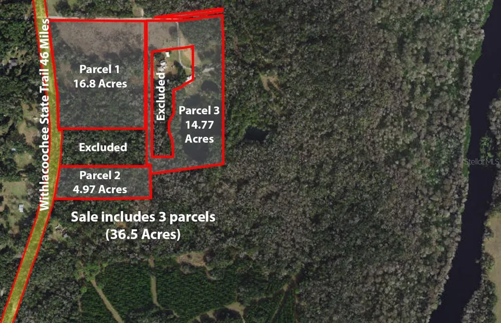 9986 E NEW HOPE COURT Floral City, FL 34436