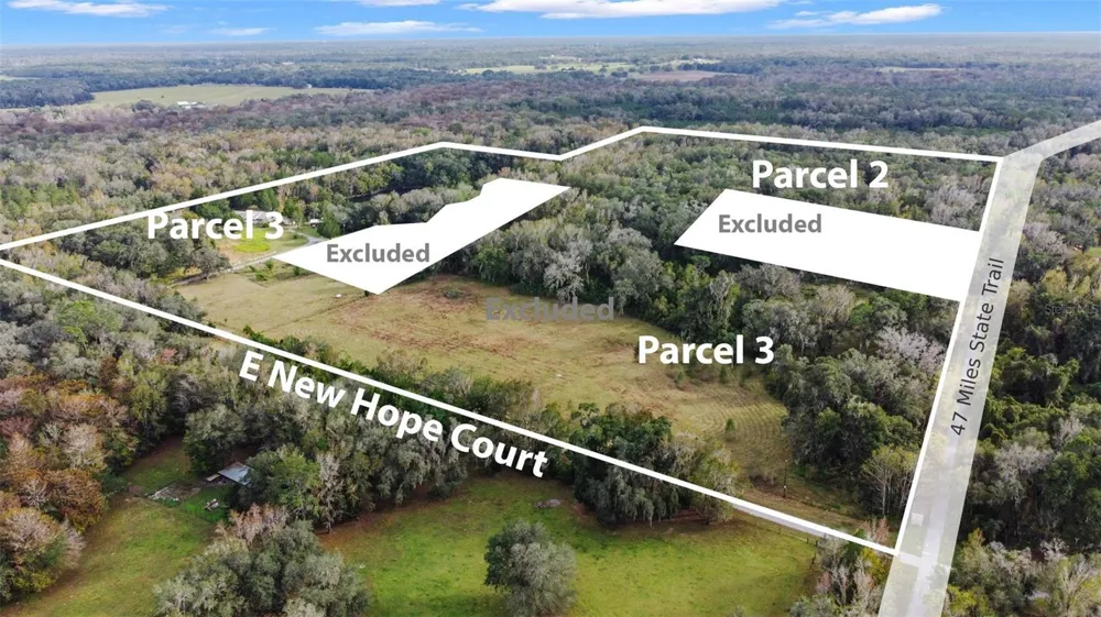 9986 E NEW HOPE COURT Floral City, FL 34436