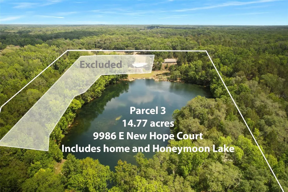 9986 E NEW HOPE COURT Floral City, FL 34436