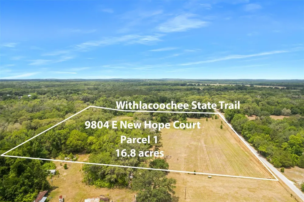 9986 E NEW HOPE COURT Floral City, FL 34436