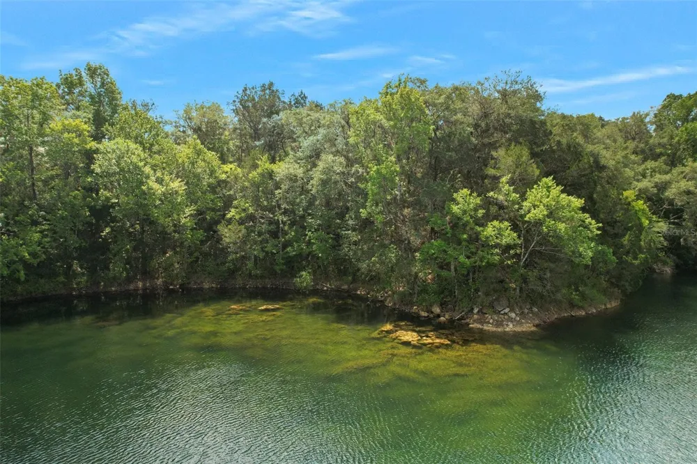 9986 E NEW HOPE COURT Floral City, FL 34436
