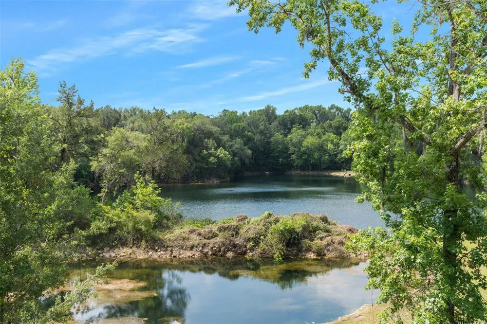 9986 E NEW HOPE COURT Floral City, FL 34436