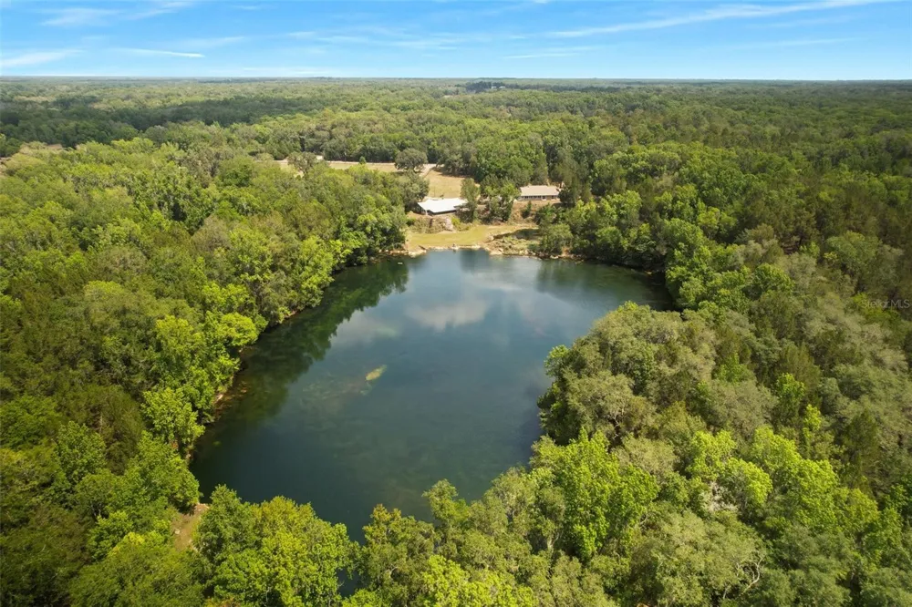 9986 E NEW HOPE COURT Floral City, FL 34436