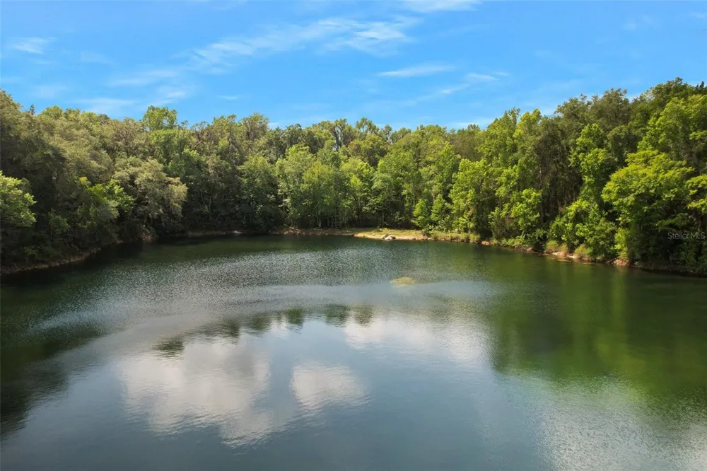 9986 E NEW HOPE COURT Floral City, FL 34436