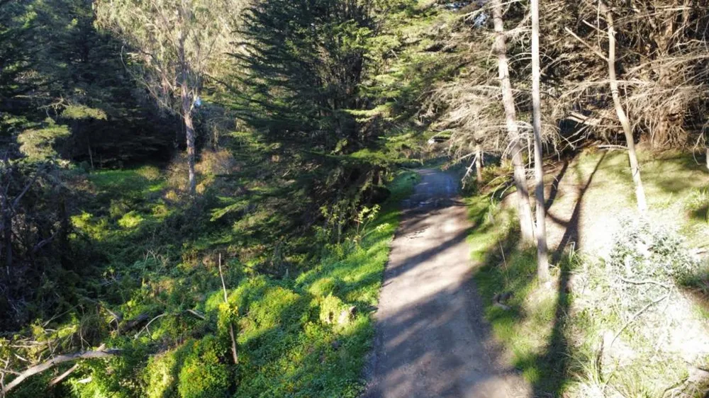 700 Cedar St. Montara, CA 94037