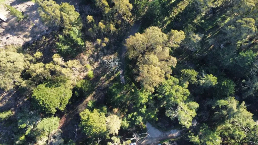 700 Cedar St. Montara, CA 94037