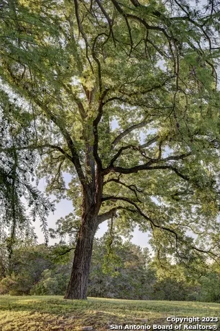 246 River Rd Hunt, TX 78024