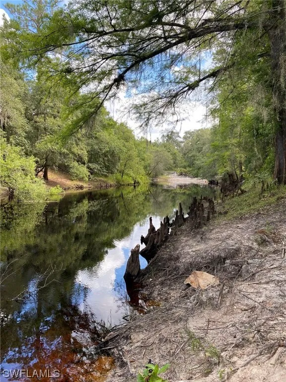 Shasta Street Webster, FL 33597