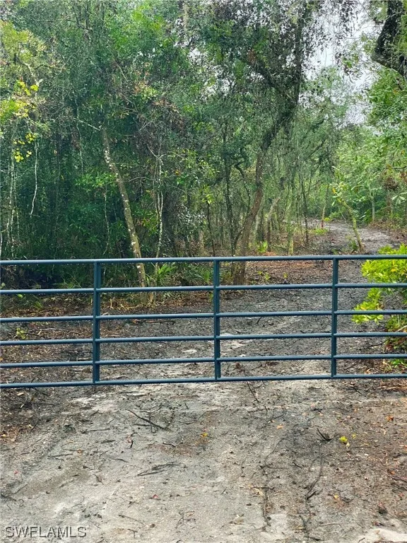 Shasta Street Webster, FL 33597