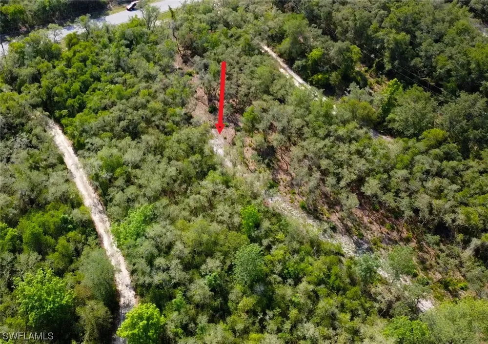 Shasta Street Webster, FL 33597