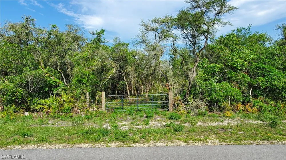 Shasta Street Webster, FL 33597
