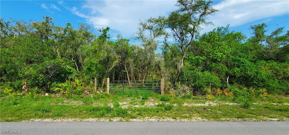 Shasta Street Webster, FL 33597