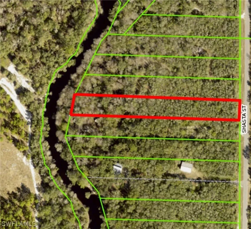 Shasta Street Webster, FL 33597