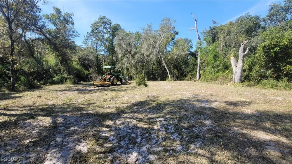 Shasta Street Webster, FL 33597