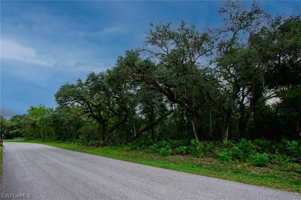 August Avenue Webster, FL 33597