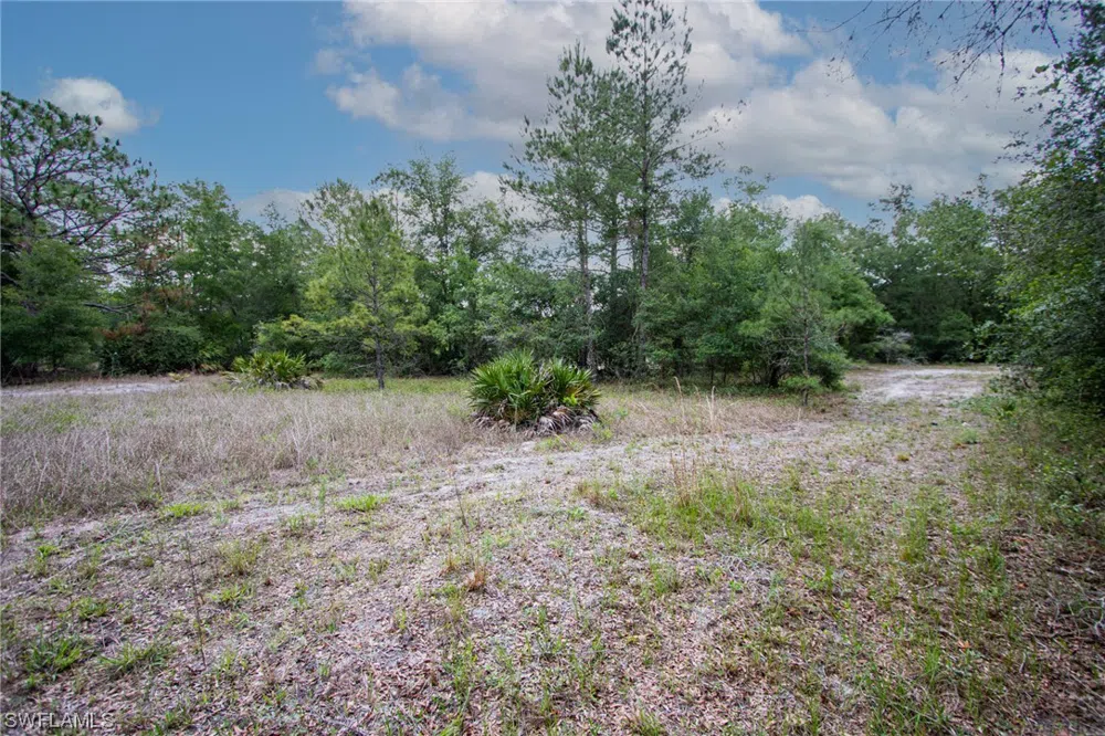 August Avenue Webster, FL 33597