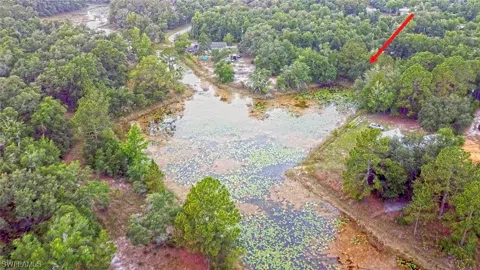 August Avenue